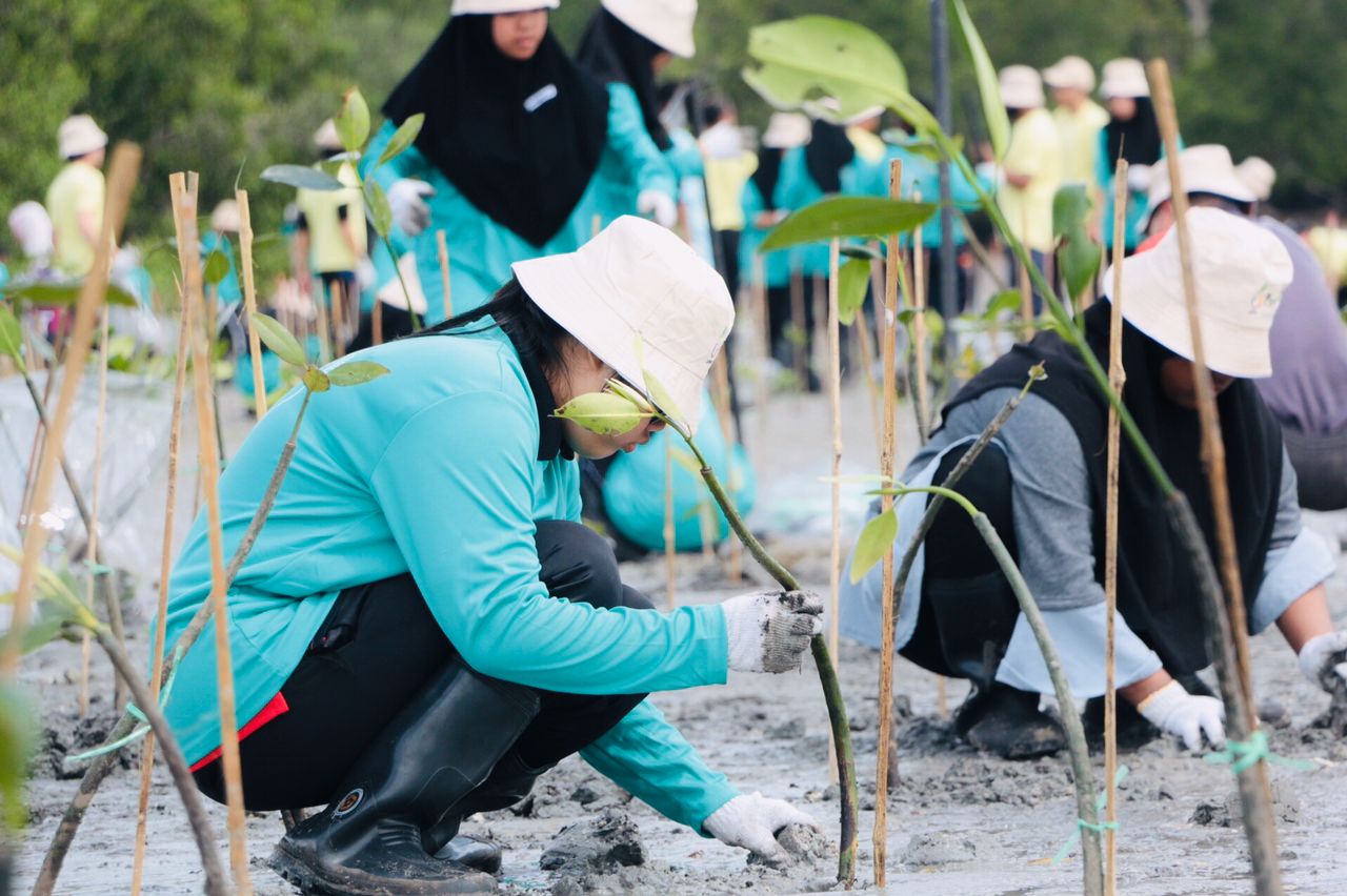 You are currently viewing Program Penanaman Pokok Bakau Bersama Yayasan Didik Negara (YDN) Dan UMW Holding Berhad Di Jimah Power Plant Lukut, Negeri Sembilan